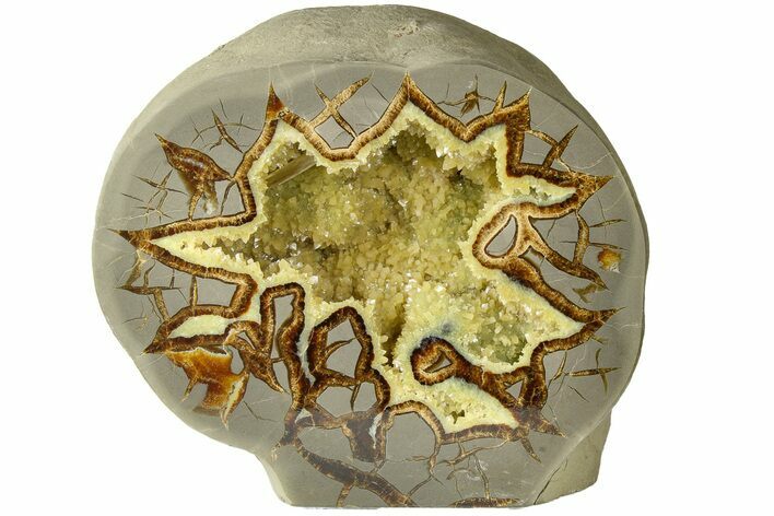 Polished, Crystal Filled Septarian Nodule - Utah #184580